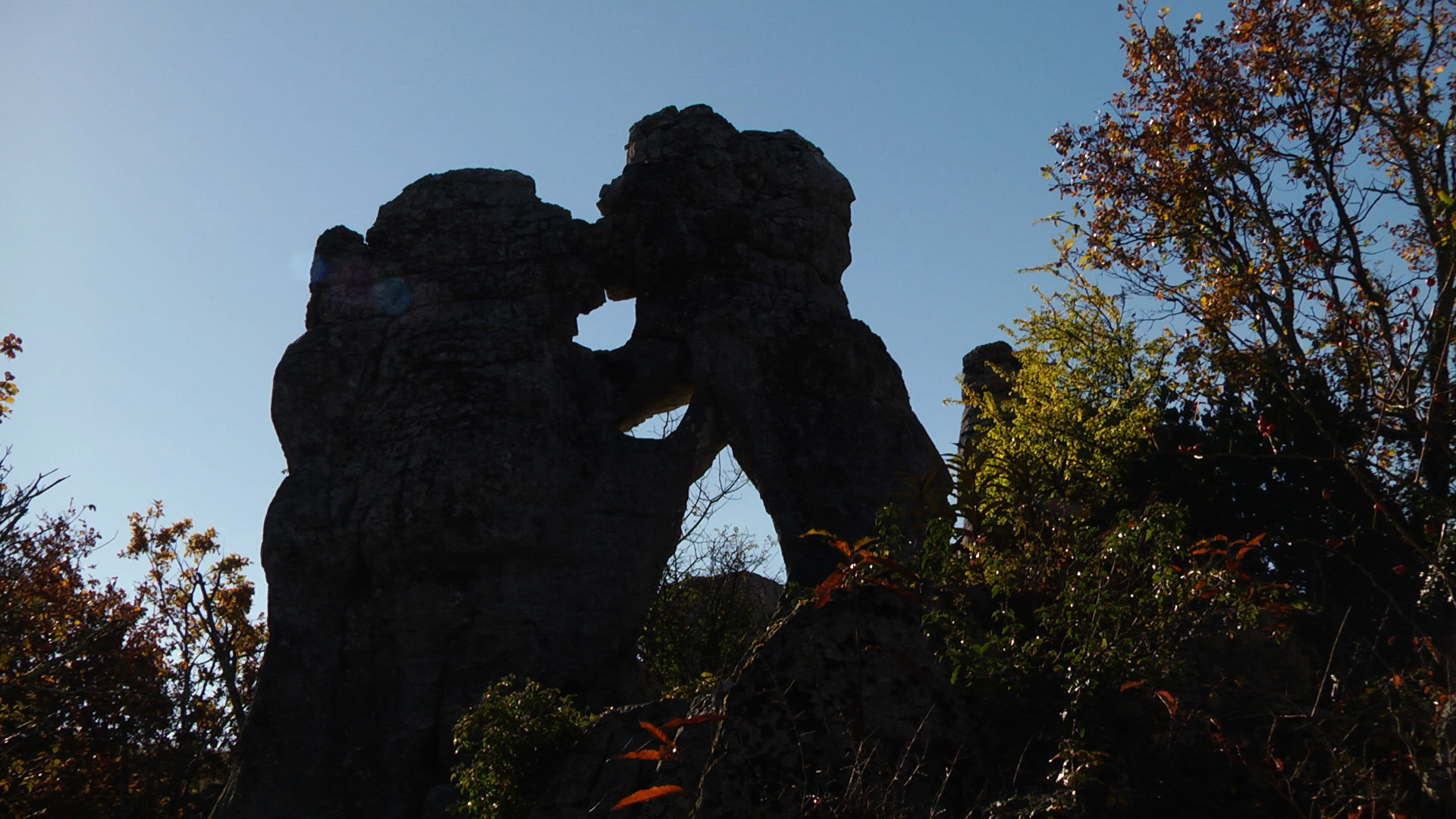 L'Ours et le Lion